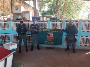 Imagem da notícia - PM desmonta rinha de galos e criação ilegal de pássaros silvestres