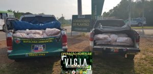 Imagem da notícia - Batalhão Ambiental prende dois homens transportando pescado ilegal