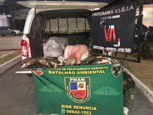 Imagem da notícia - Batalhão Ambiental e CIPCães apreendem pescado ilegal e quelônios