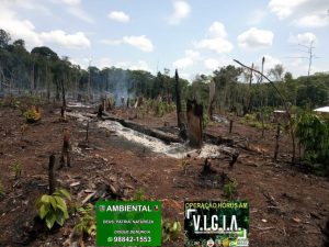 Imagem da notícia - Batalhão Ambiental detém homem em área de desmatamento ilegal