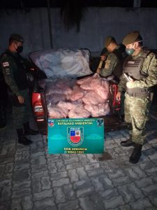 Imagem da notícia - Batalhão de Policiamento Ambiental apreende 600 quilos de peixe