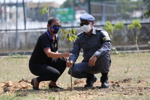 Imagem da notícia - Batalhão Ambiental planta mudas no Comando Geral, em ação em homenagem à vida
