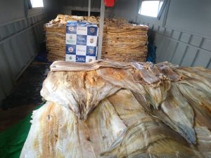 Imagem da notícia - Base Arpão apreende 8,3 toneladas de pirarucu e carne de jacaré