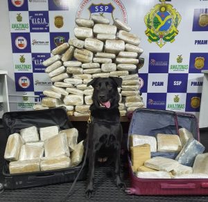 Imagem da notícia - Base Arpão prende seis com 100 quilos de drogas em Coari