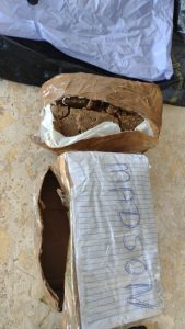 Imagem da notícia - Homem é preso após receber pacote de droga no porto de Manaquiri