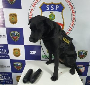 Imagem da notícia - Mulheres são presas com droga colada ao corpo em Coari