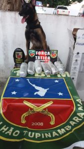 Imagem da notícia - Em Parintins, Força Tática e 11˚BPM apreendem drogas em balsa