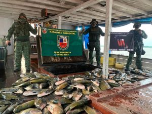 Imagem da notícia - Batalhão Ambiental apreende cargas ilegais em embarcações