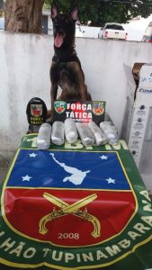 Imagem da notícia - PM prende 17 pessoas e apreende entorpecentes no interior do estado