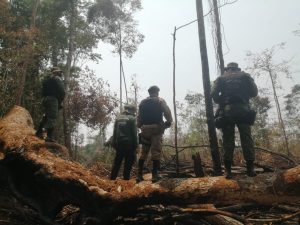 Imagem da notícia - Operação Curuquetê 2 embarga mais de 3,7 mil hectares de terras