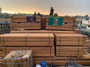 Imagem da notícia - Batalhão Ambiental bate recorde de apreensão de madeira ilegal no AM