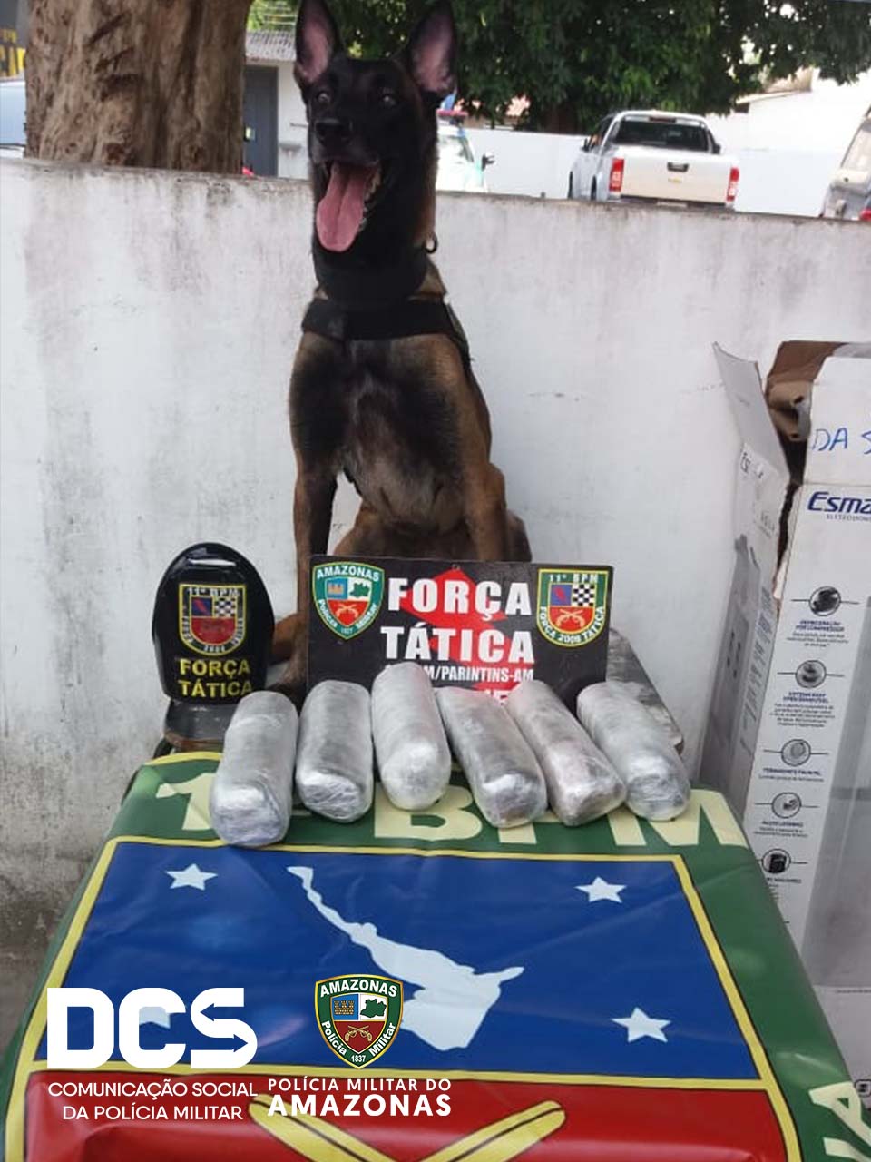 Material apreendido. FOTO: Divulgação/PM