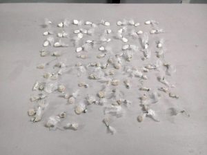 Imagem da notícia - PM prende jovem por envolvimento no tráfico de drogas na Cachoeirinha