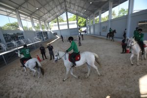 Imagem da notícia - PM realiza solenidade alusiva ao Dia da Equoterapia