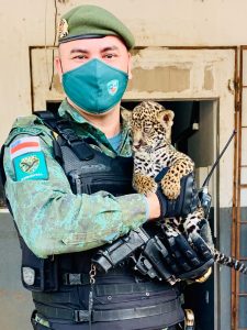 Imagem da notícia - PM registra aumento no resgate de animais com risco de extinção