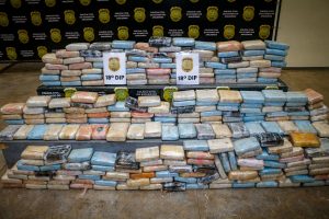 Imagem da notícia - PC apreende 300 quilos de maconha tipo skunk na Cidade Nova