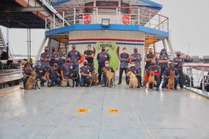 Imagem da notícia - Cães policiais recebem treinamento para aprimorar buscas