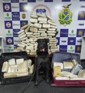 Imagem da notícia - Base Arpão causa prejuízo ao crime organizado em quatro meses