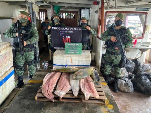 Imagem da notícia - Polícia Militar apreende quase 2 toneladas de pescado ilegal no Porto de Manaus