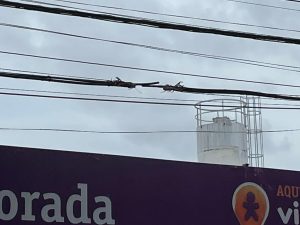 Imagem da notícia - Polícia Civil prende homens  por tentativa e por furto de cabos telefônicos