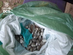 Imagem da notícia - Onze suspeitos de crimes são presos em Manaus e no interior