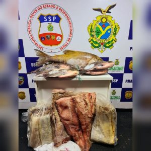 Imagem da notícia - Base Arpão prende homem e apreende 131 quilos de pescado ilegal