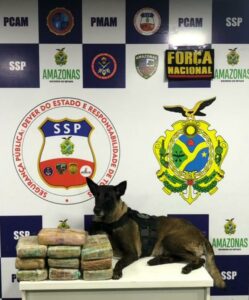 Imagem da notícia - Dez quilos de drogas são encontrados durante ação da Base Arpão