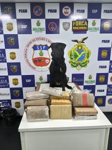 Imagem da notícia - Base Arpão flagra drogas em forro de camarote de barco