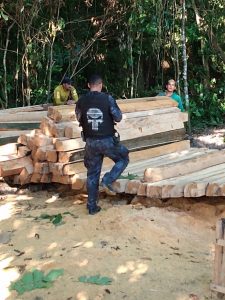 Imagem da notícia - Polícia Civil deflagra operação ‘Curupira’ em Eirunepé