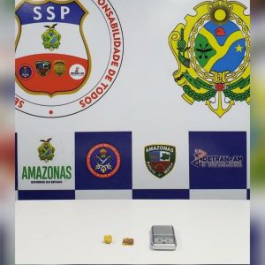 Imagem da notícia - Mulher é presa pela Base Arpão por transporte ilegal de matéria-prima