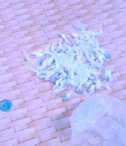 Imagem da notícia - Homem é detido por tráfico de drogas na Redenção