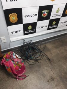 Imagem da notícia - PM detém homem por furto de fios elétricos no bairro Adrianópolis