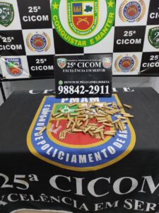 Imagem da notícia - PM detém dois homens e apreende 100 porções de drogas