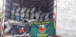 Imagem da notícia - PM apreende carga de carvão vegetal de origem ilegal