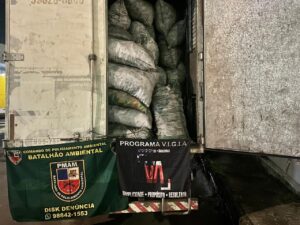 Imagem da notícia - PM apreende carga de 30 metros cúbicos de carvão  ilegal na AM-010