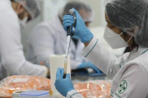 Imagem da notícia - AM estuda vacina com aplicação em servidores de segurança e educação