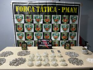 Imagem da notícia - PM apreende várias porções de entorpecentes na zona norte