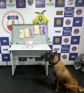 Imagem da notícia - Base Arpão apreende drogas em TV e captura dois foragidos