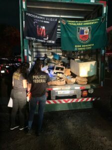 Imagem da notícia - Polícia Militar detém homem em posse irregular de minerais