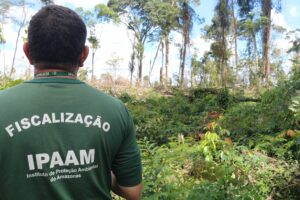 Imagem da notícia - Operação reforça ações de combate ao desmatamento em Humaitá