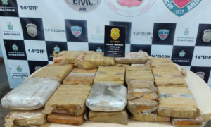 Imagem da notícia - PC apreende 33 tabletes de entorpecentes no bairro Gilberto Mestrinho