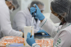 Imagem da notícia - Estudo CovacManaus conclui primeira etapa de vacinação