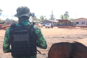 Imagem da notícia - Operação Tamoiotatá: Madeireira é multada em mais de R$ 190 mil