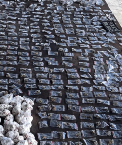 Imagem da notícia - PM detém dois homens por tráfico de drogas em Presidente Figueiredo