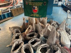 Imagem da notícia - PM apreende uma tonelada de minério de extração ilegal em embarcação