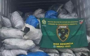 Imagem da notícia - PMAM detém indivíduo por desmatamento ilegal e apreende carvão vegetal