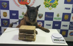 Imagem da notícia - Equipes da Base Arpão apreendem três tabletes de drogas em embarcação