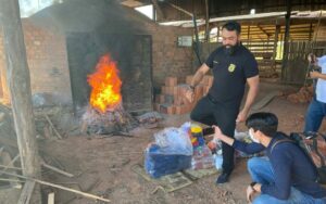 Imagem da notícia - PC e PM incineram 108 quilos de entorpecentes, em Humaitá