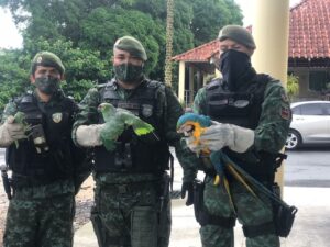 Imagem da notícia - Batalhão Ambiental completa 13 anos de criação