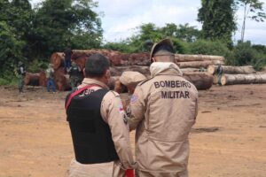 Imagem da notícia - Batalhão de Incêndio Florestal dos Bombeiros atua no combate a queimadas